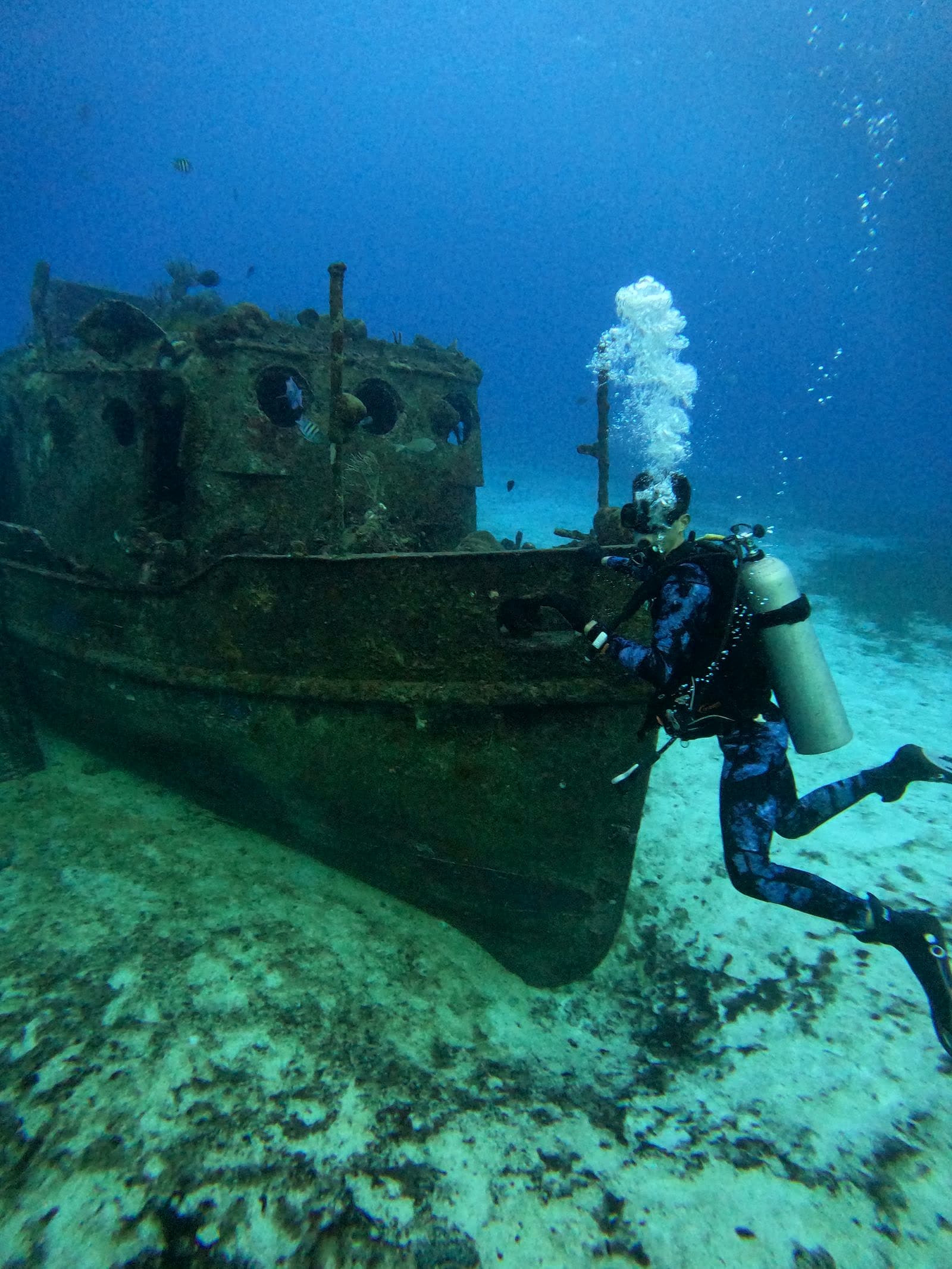 A diver near a sunken wreck underwater, generic/atmospheric